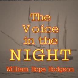 The Voice in the Night