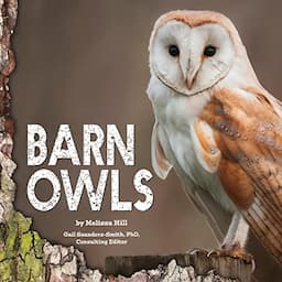 Barn Owls