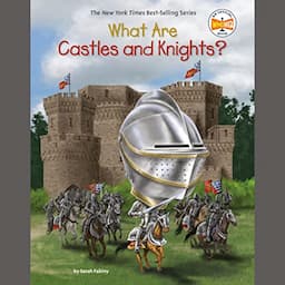 What Are Castles and Knights?