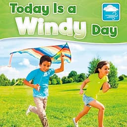 Today Is a Windy Day