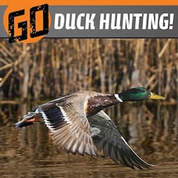 Go Duck Hunting!