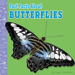 Fast Facts About Butterflies