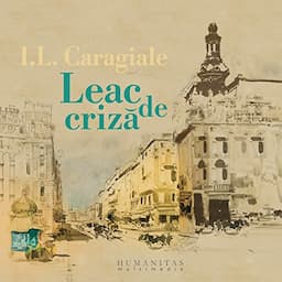 Leac de criză