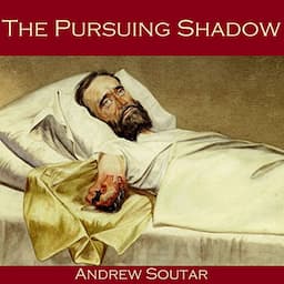 The Pursuing Shadow