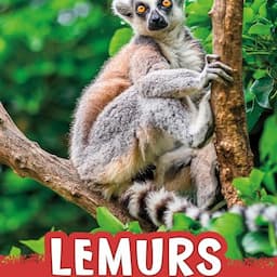 Lemurs