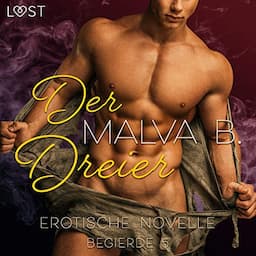 Der Dreier. Erotische Novelle