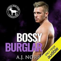 Bossy Burglar