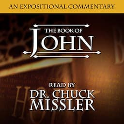 The Book of John: A Commentary