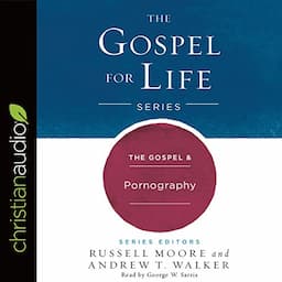 The Gospel &amp; Pornography