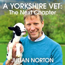 A Yorkshire Vet: The Next Chapter