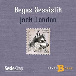 Beyaz Sessizlik