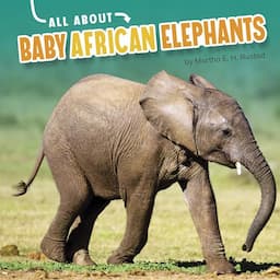 All about Baby African Elephants