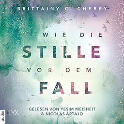 Wie die Stille vor dem Fall 2