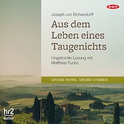 Aus dem Leben eines Taugenichts