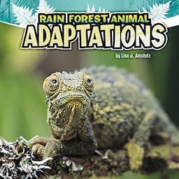 Rain Forest Animal Adaptations