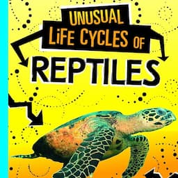 Unusual Life Cycles of Reptiles