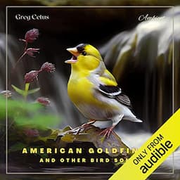 American Goldfinch and Other Bird Songs