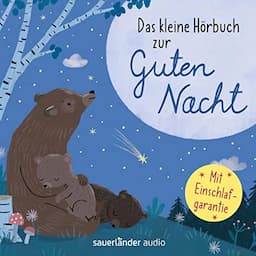 Das kleine H&ouml;rbuch zur Guten Nacht