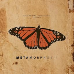 Metamorphosis