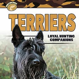 Terriers