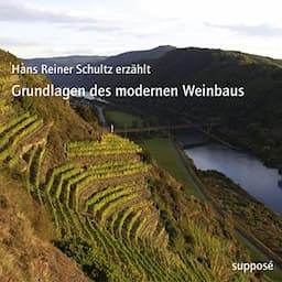 Grundlagen des modernen Weinbaus