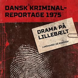 Drama p&aring; Lilleb&aelig;lt