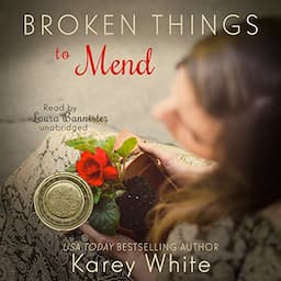 Broken Things to Mend