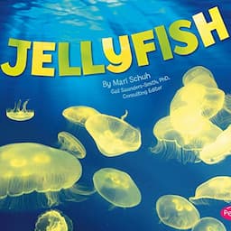 Jellyfish