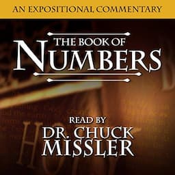 The Book of Numbers: A Commentary