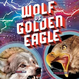 Wolf vs. Golden Eagle