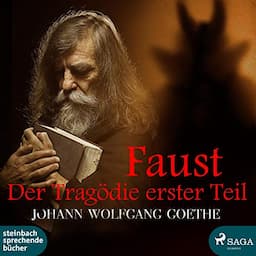 Faust - Der Trag&ouml;die erster Teil