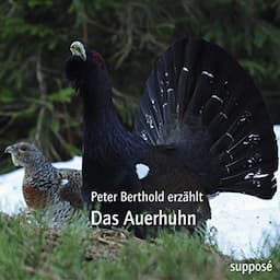 Das Auerhuhn