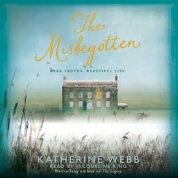 The Misbegotten