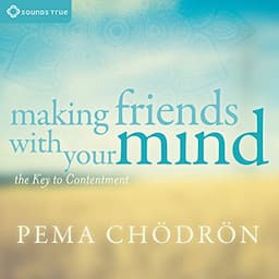 Making Friends with Your Mind