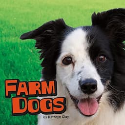 Farm Dogs