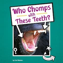 Who Chomps with These Teeth?