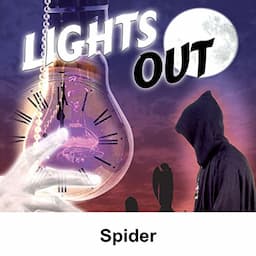 Lights Out: Spider