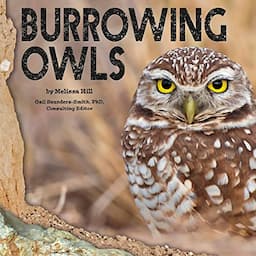 Burrowing Owls