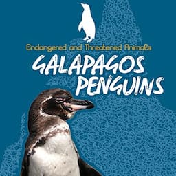 Galapagos Penguins