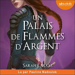 Un palais de flammes d'argent