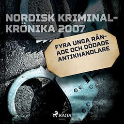 Fyra unga r&aring;nade och d&ouml;dade antikhandlare