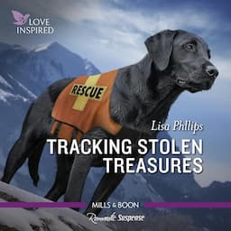 Tracking Stolen Treasures