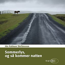 Sommerlys, og s&aring; kommer natten [Summer Night and Then Comes the Light]