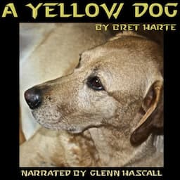 A Yellow Dog