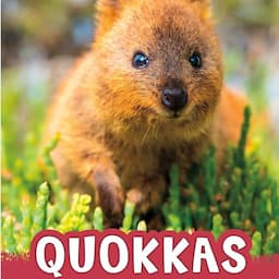 Quokkas