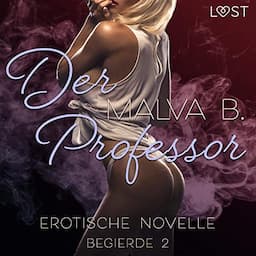 Der Professor. Erotische Novelle