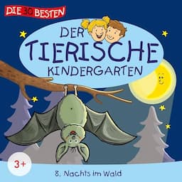 Nachts im Wald