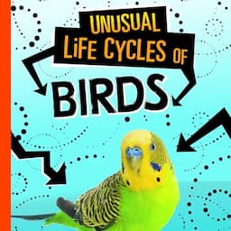 Unusual Life Cycles of Birds