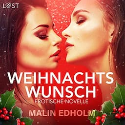 Weihnachtswunsch. Erotische Novelle