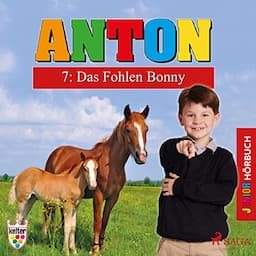 Das Fohlen Bonny